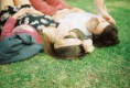 /album/fotogaleria/a379845-264916263570899-264843603578165-754891-37777107-n-jpg/